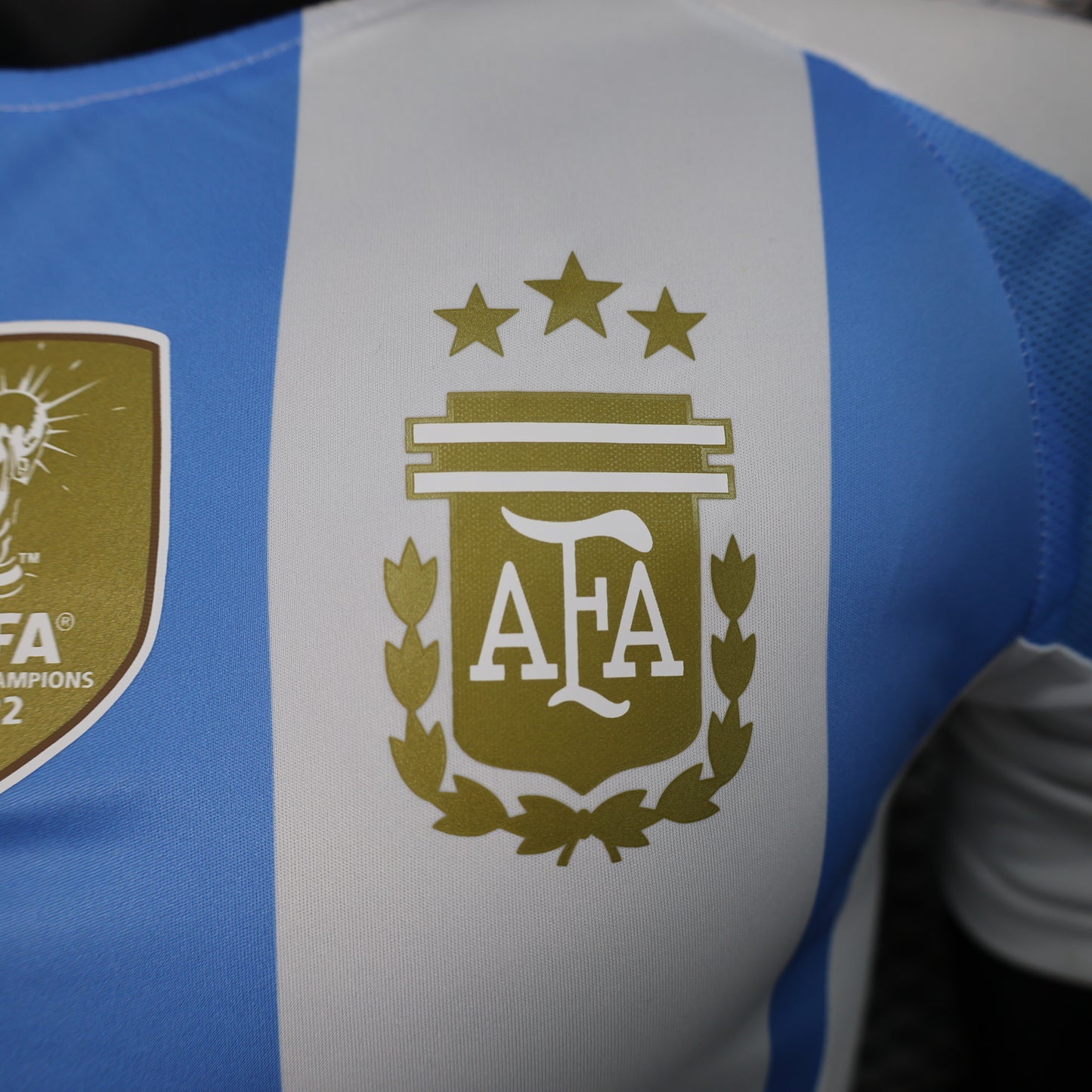 Argentina Player Version Home Jersey Copa America 2024