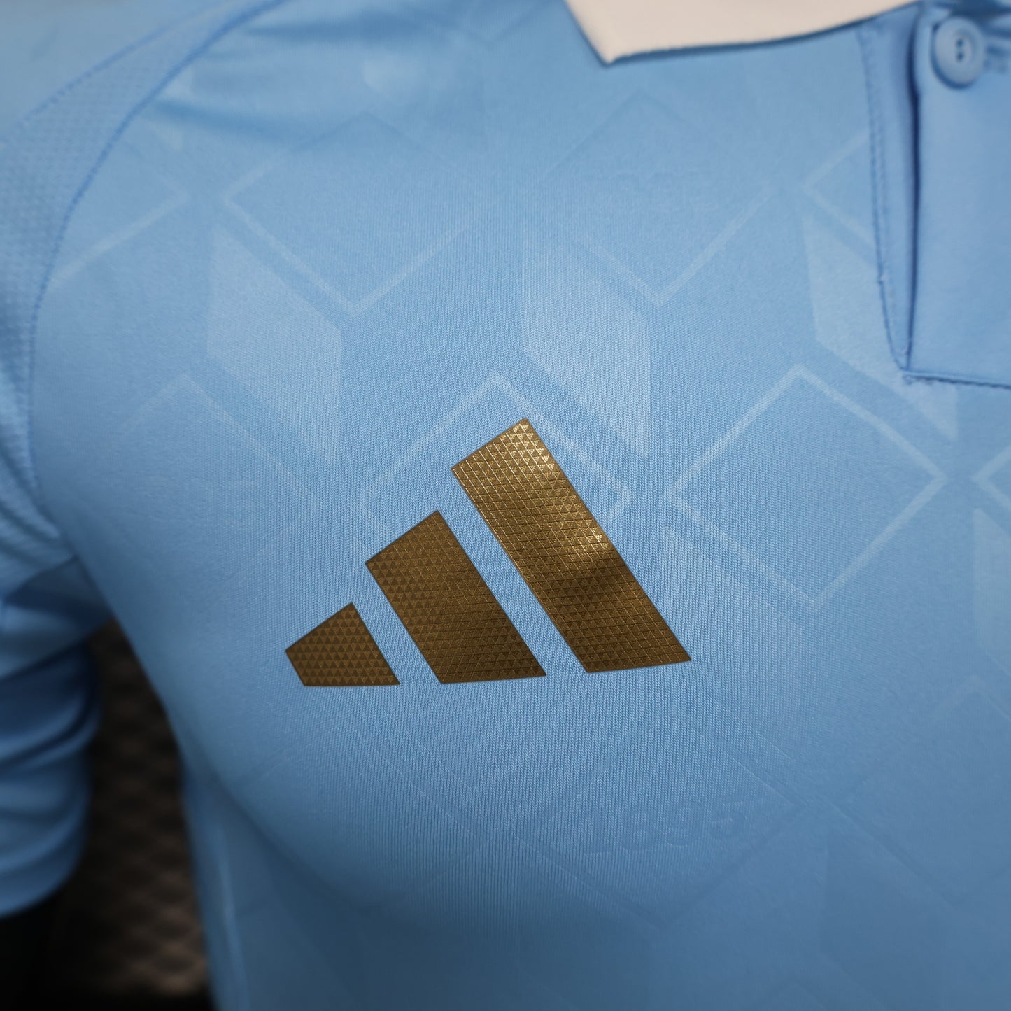 Belgium NT Player Version Away Jersey 2024 Euros