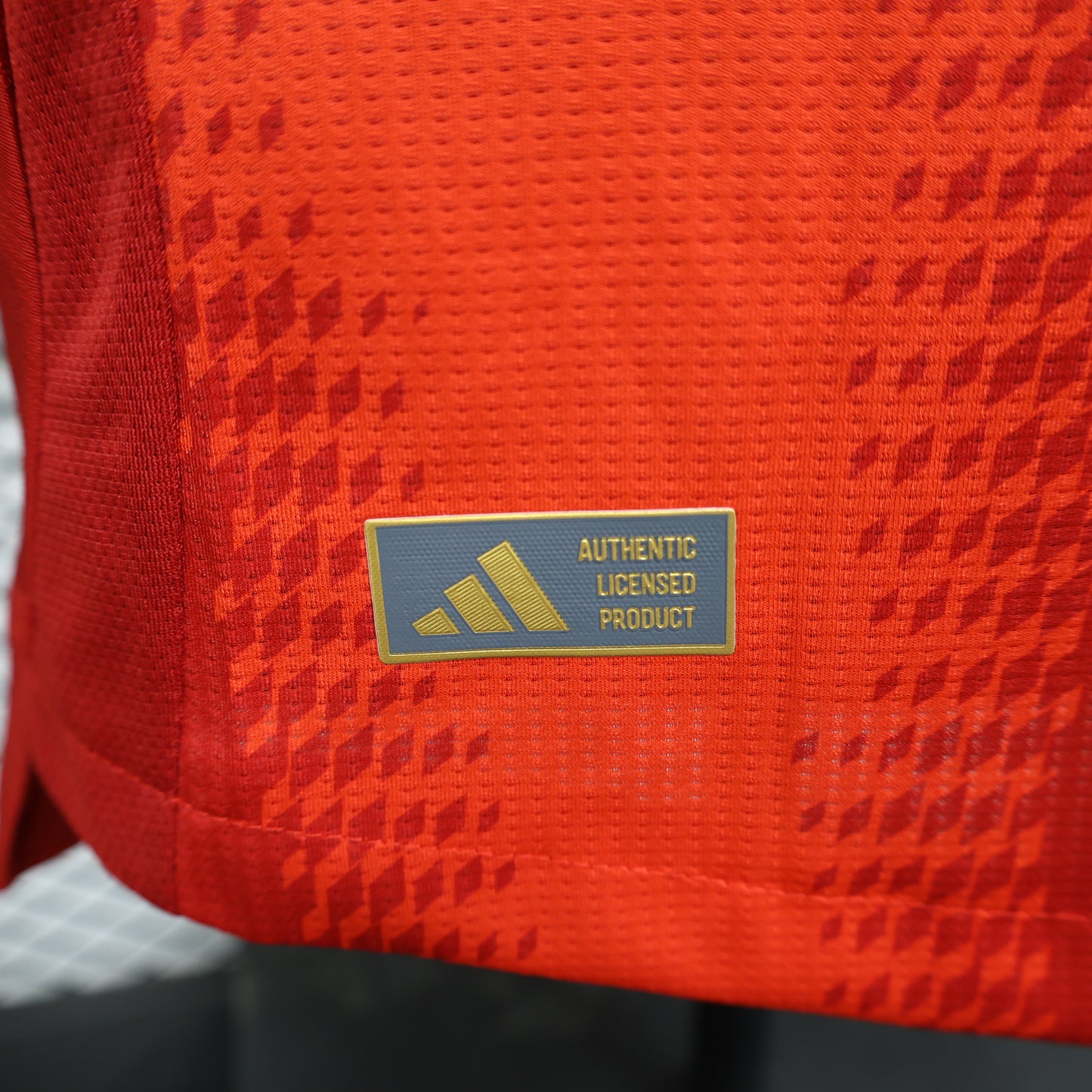 Bayern Munich Player Version Home Jersey 24/25