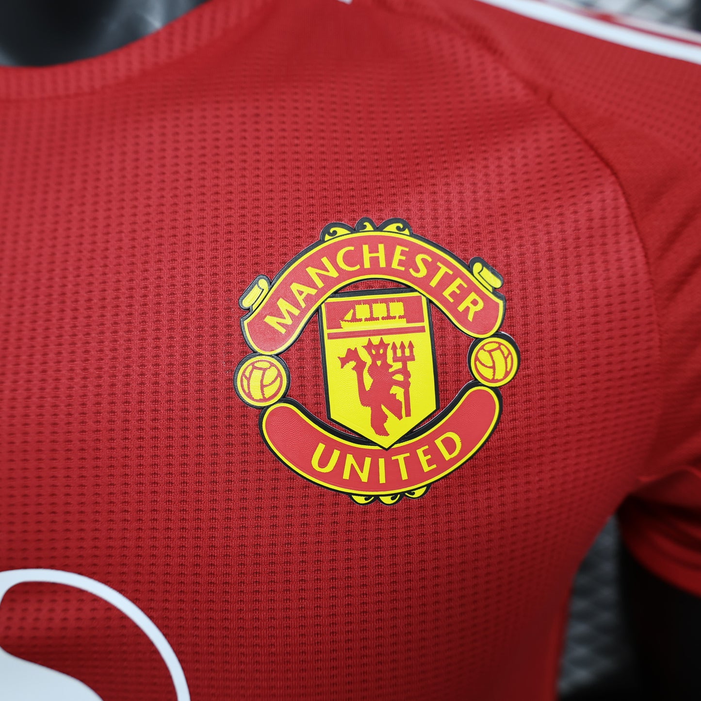 Manchester United Player Version Home 24/25