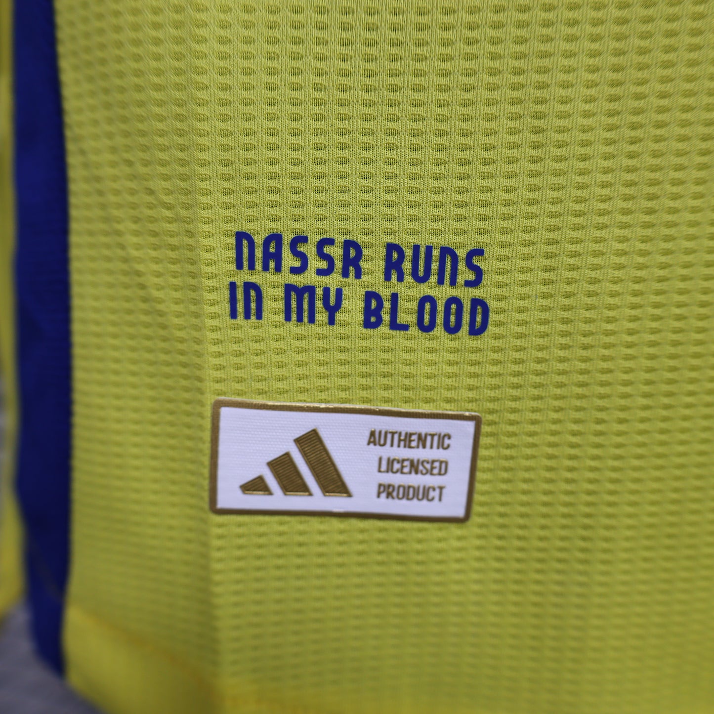 Al Nassr Player Version Home Jersey 24/25