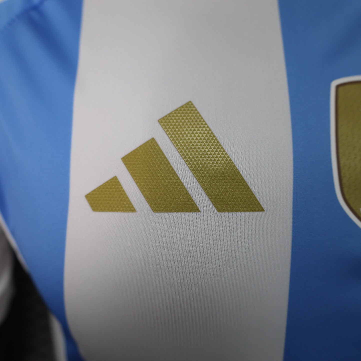 Argentina Player Version Home Jersey Copa America 2024